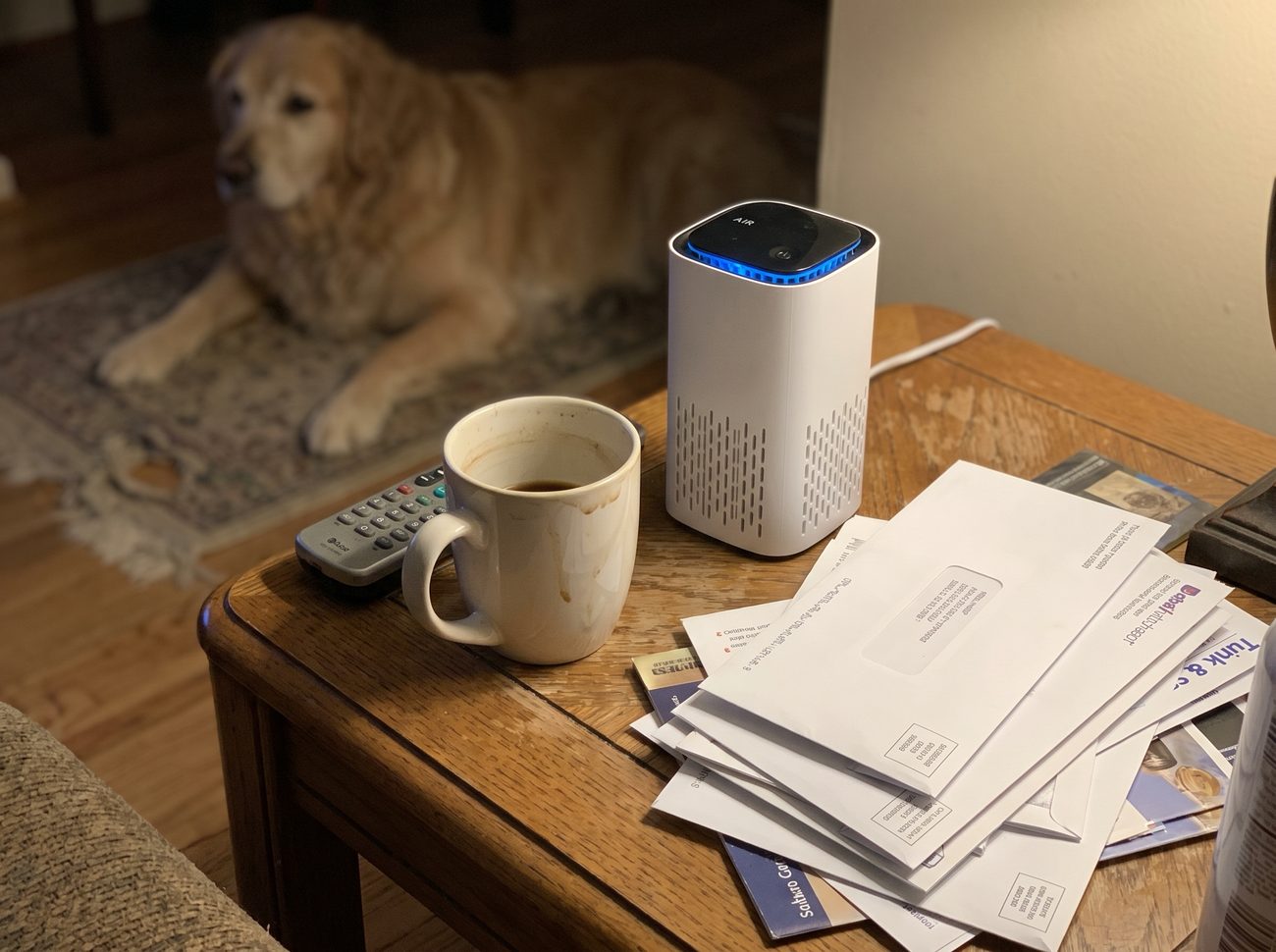 Puppy Mommies PAP1 air purifier